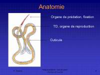 Diapositive08.GIF