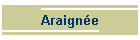 Araigne