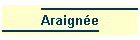 Araigne