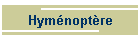 Hymnoptre