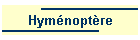 Hymnoptre
