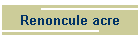 Renoncule acre