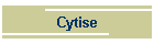 Cytise