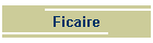 Ficaire