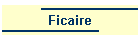 Ficaire