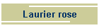 Laurier rose