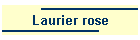 Laurier rose