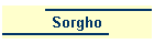 Sorgho