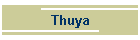 Thuya