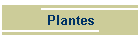 Plantes